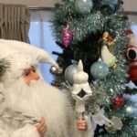 今日は「クリスマスコンサート」